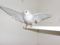 /album/galeria-de-fotos/a3-jpg/