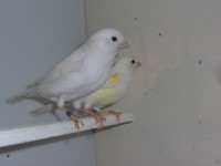 /album/galeria-de-fotos/a4-jpg/