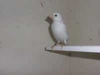 /album/galeria-de-fotos/a5-jpg/