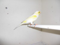 /album/galeria-de-fotos/a6-jpg/