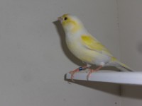 /album/galeria-de-fotos/a7-jpg/