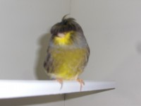 /album/galeria-de-fotos/a13-jpg/