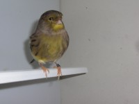 /album/galeria-de-fotos/a14-jpg/