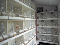 /album/galeria-de-fotos/cimg5575-jpg/