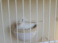 /album/galeria-de-fotos/cimg5697-jpg1/