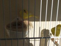 /album/galeria-de-fotos/cimg5698-jpg/