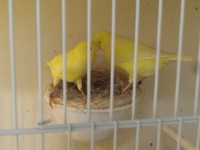 /album/galeria-de-fotos/cimg5699-jpg/