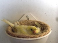 /album/galeria-de-fotos/cimg6601-jpg/