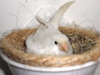 /album/galeria-de-fotos/cimg6605-jpg/