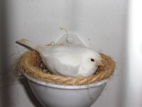 /album/galeria-de-fotos/cimg6607-jpg/