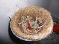 /album/galeria-de-fotos/cimg6608-jpg/