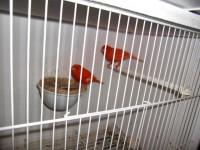 /album/galeria-de-fotos/cimg6609-jpg/