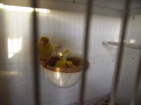 /album/galeria-de-fotos/cimg6610-jpg/