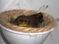 /album/galeria-de-fotos/cimg6612-jpg/