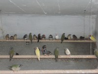 /album/galeria-de-fotos/cimg6603-jpg/