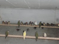 /album/galeria-de-fotos/cimg6604-jpg/