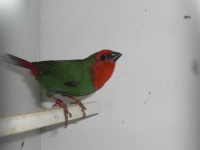 /album/galeria-de-fotos/cimg6617-jpg/