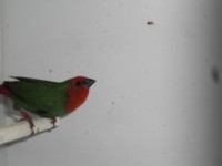 /album/galeria-de-fotos/cimg6620-jpg/