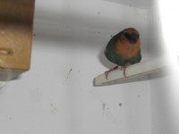 /album/galeria-de-fotos/cimg6621-jpg/